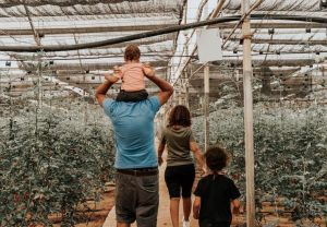 חוות הפסיפלורה: קטיף עצמי ופעילויות משפחתיות